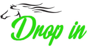 Drop In Riding Logo