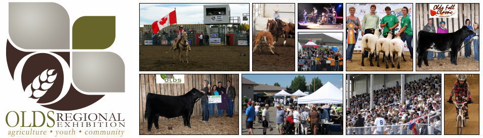 For over 100 years, Olds Agricultural Society has been one of those organizations that town and country folk both participate in. And now it has evolved into the Olds Regional Exhibition.