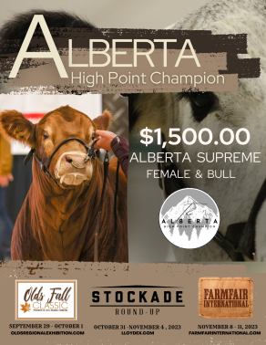 Alberta Supreme Stakes recognizes outstanding achievement of exhibitors and their respective Female and Bull Champions and Reserves at the Olds Fall Classic, Stockade Round-Up and Farmfair International.